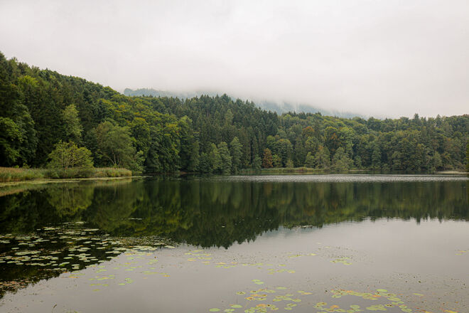 Herbststimmung...