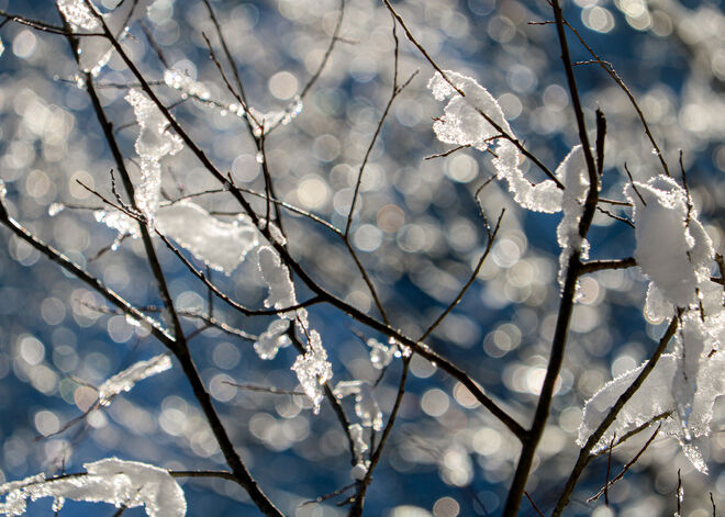 Sonne und Schnee...