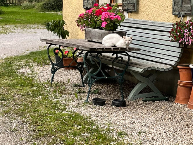 Sitzplatz