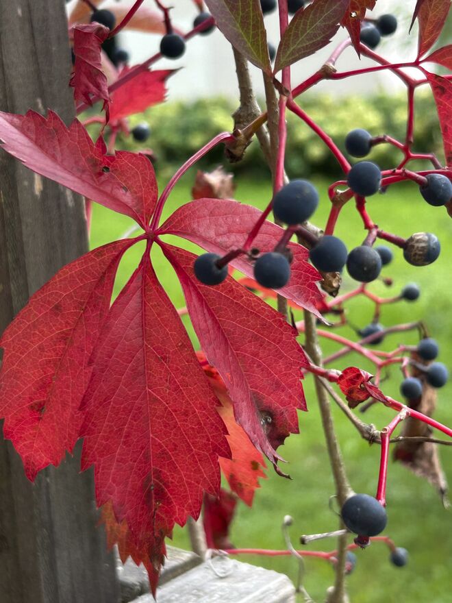 Tolle Farben