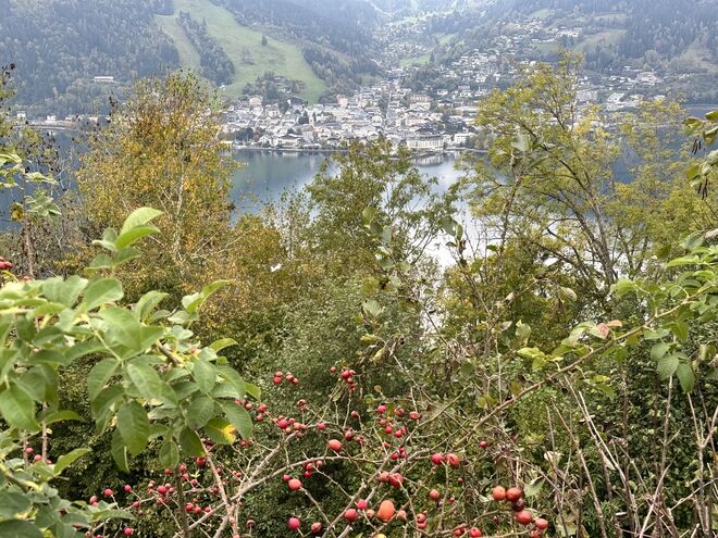 Herbstliches Zell am See !