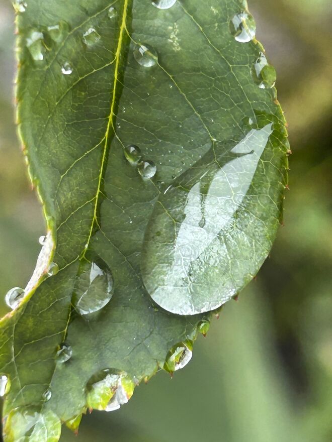 Reise eines Wassertropfens