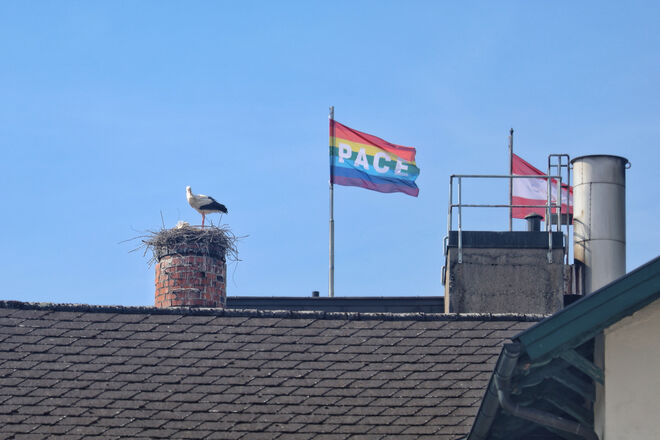 Friedliche Stimmung