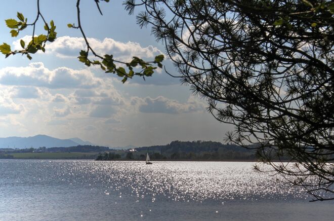 Abendglitzer mit Boot am Wallersee