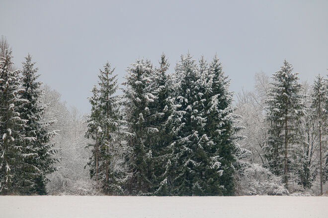 Winterzeit...
