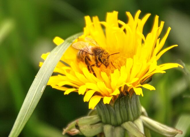 Fleissig bei der Arbeit :-)