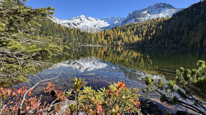 Naturjuwel Reedsee !