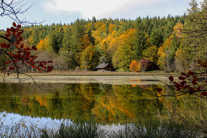 Kleines Haus am See