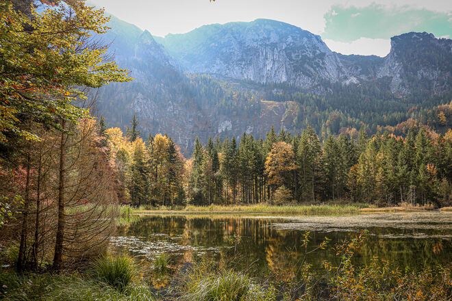 Herrlicher Herbst...
