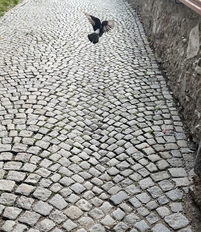 Der Weg ist gepflastert