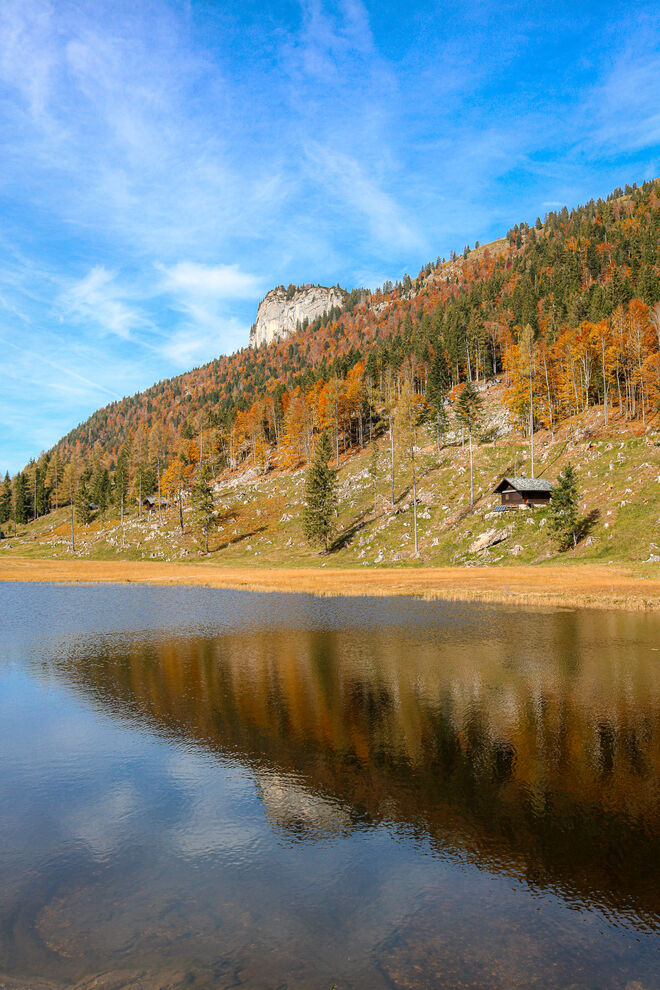 Es ist Herbst geworden...