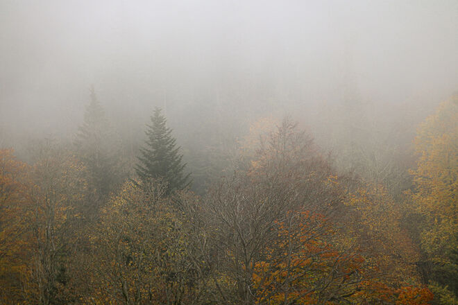 Manchmal gibts im Herbst auch eine Nebelsuppe...
