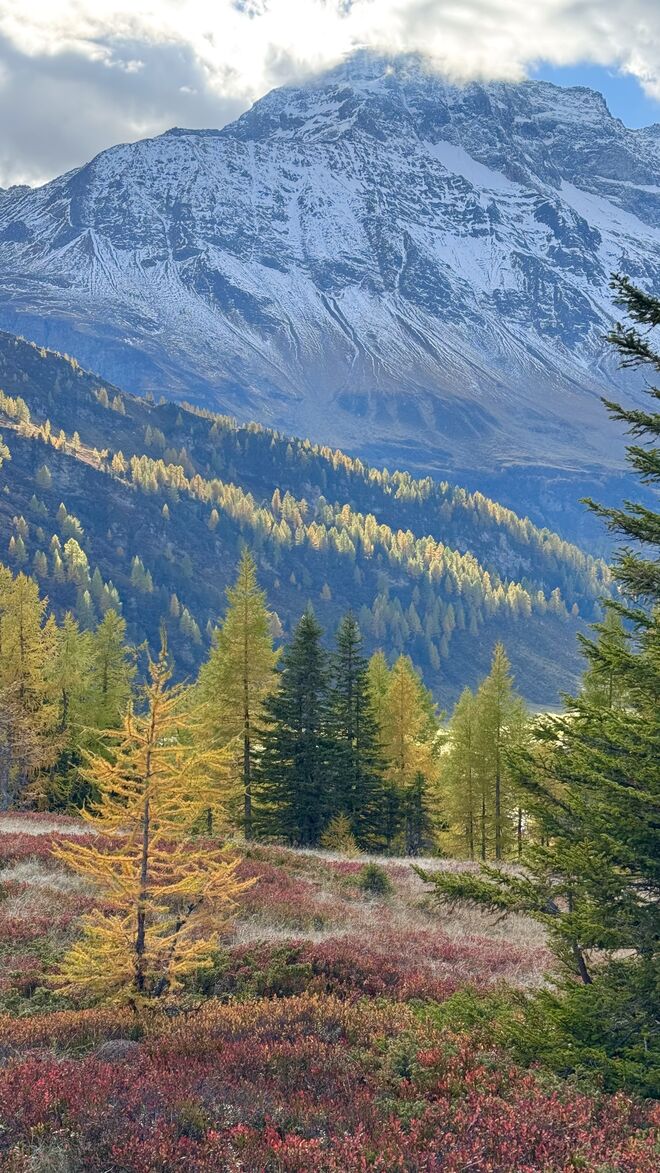 Indian Summer