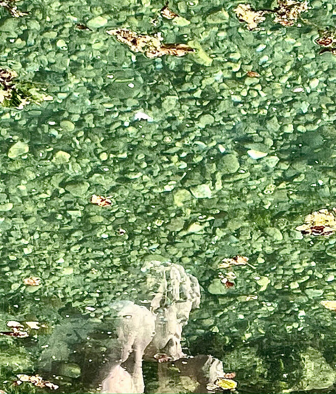 Wassermann ; )