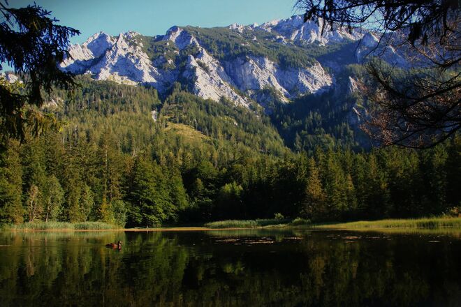 Blick über den Taferlklaussee