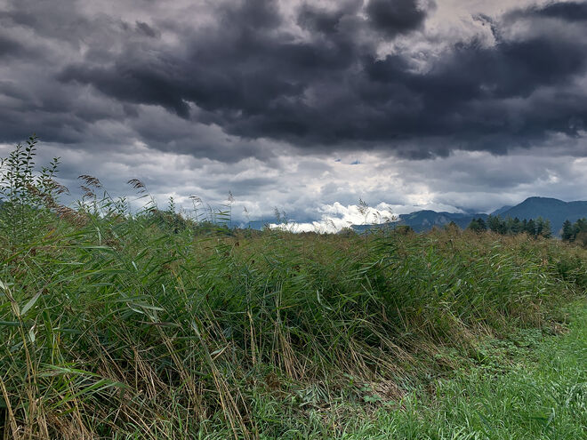 Dunkle Wolken