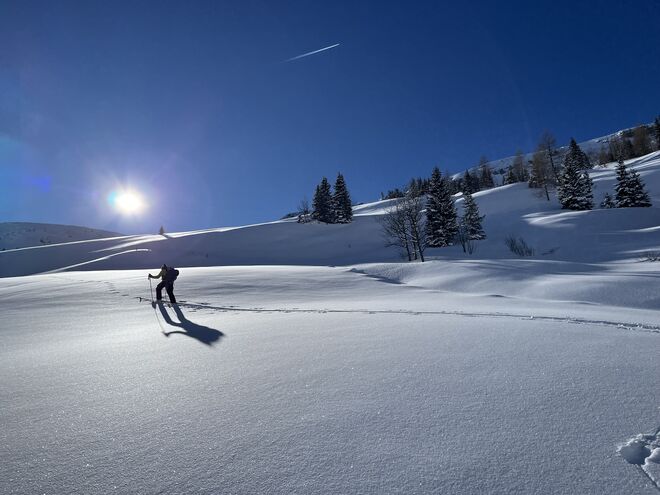 Der Sonne entgegen
