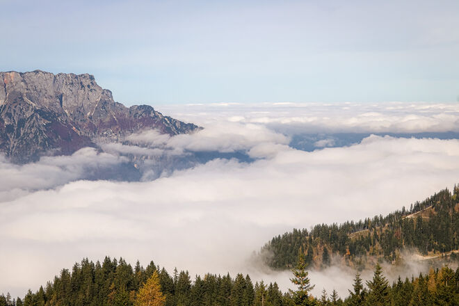 Nebel, Nebel, Nebel, so weit man schauen kann...