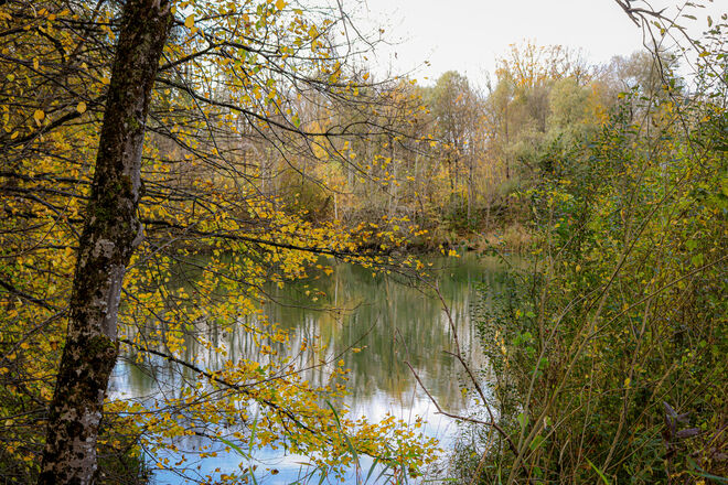 Herbst in der Au...