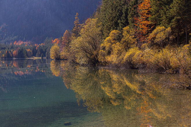 Eine Farbenpracht....