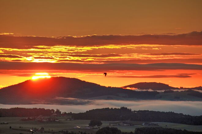 Heute war er wieder einmal besonders schön - der Sonnenaufgang über dem Flachgau