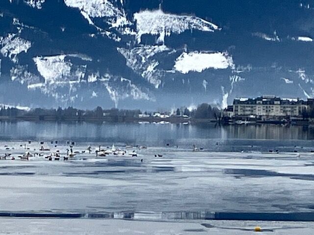 Impression in blau-weiß