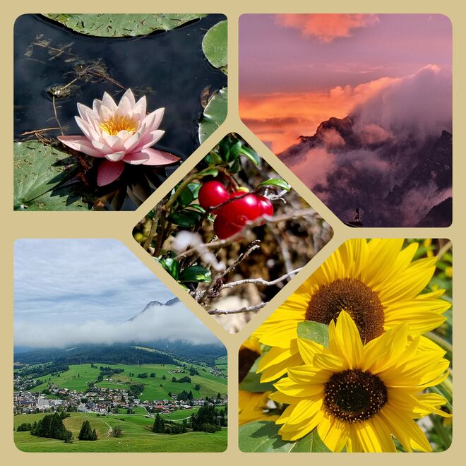 Collage...