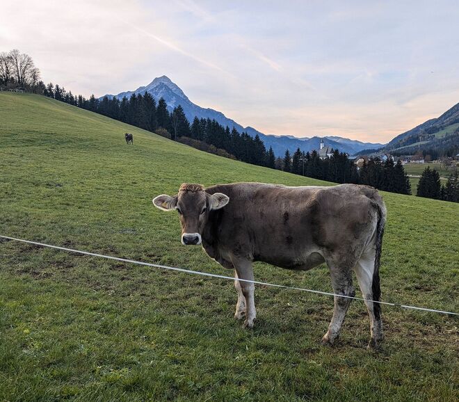 . . . noch neugierig . . .
