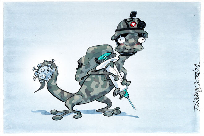Kampf-Gecko. . .