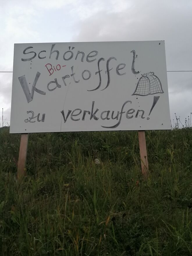 Eine neue SCHÖNE Kartoffelsorte nur im Lungau