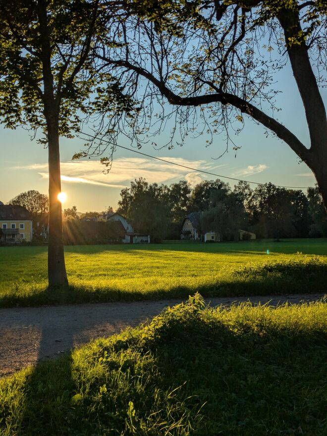 . . . an der Allee . . .