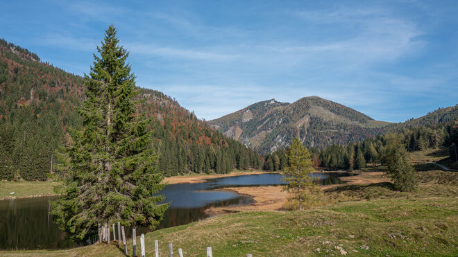 Seewaldsee im Herbst