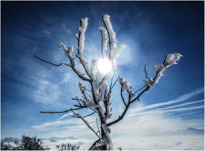 Wintertraum