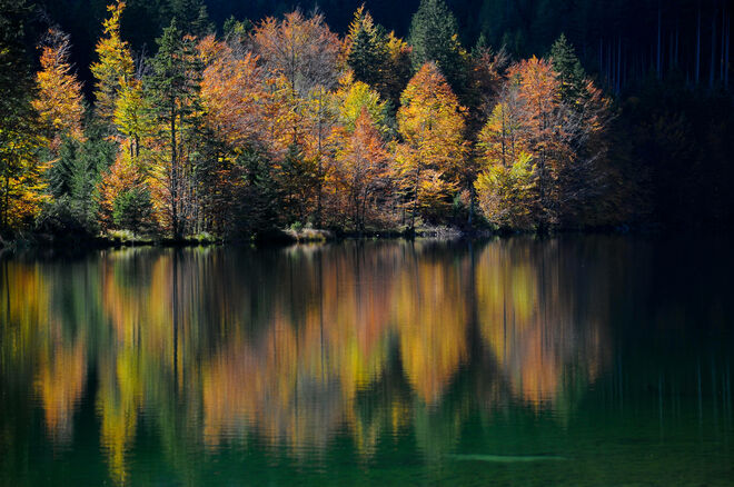 Herbstfarben am See