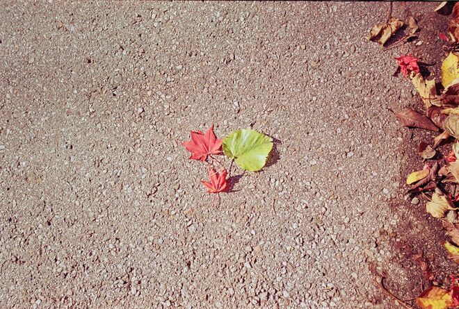 Together the last Time