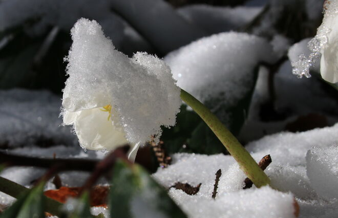 Schwere Last ist das aber schon...