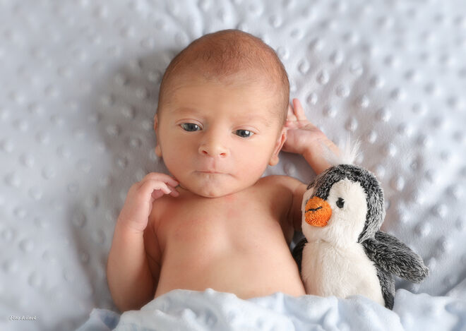 Matheo