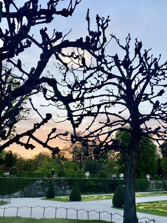 Im Mirabellgarten ....