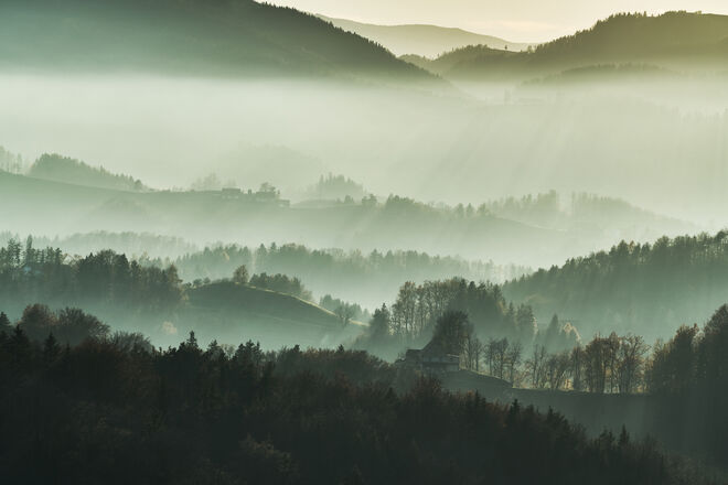 Morgennebel