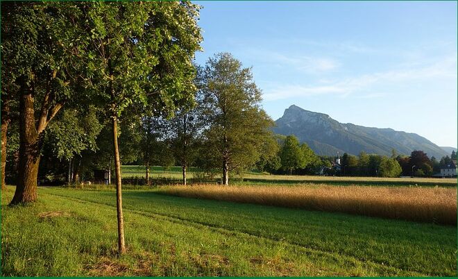 Die Morzger goldene Kirchturmspitze