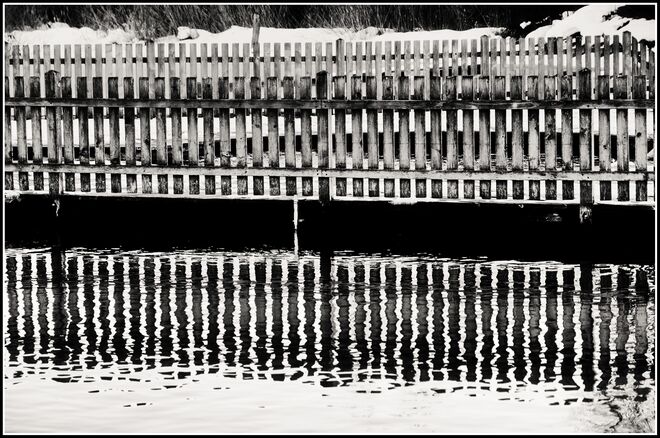 Zaun im (Wasser)spiegel
