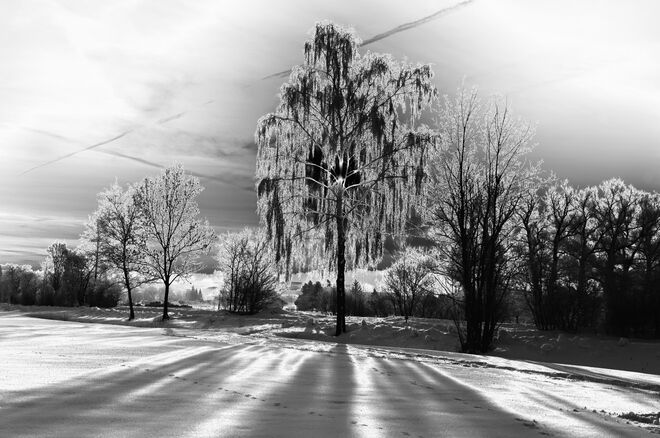Einfach nur ein Wintermorgen...