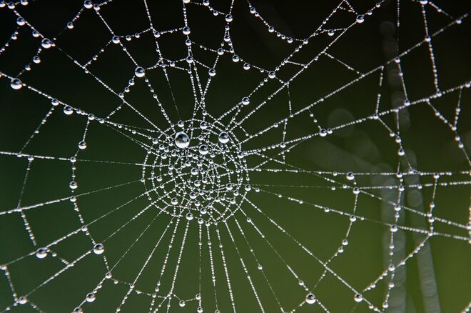 Herbstschmuck