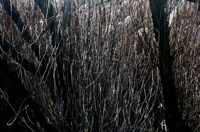 frostiger Durchblick