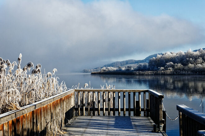 Frostiger Wintermorgen am Obertrumer See
