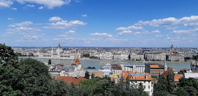 Blick über die Donau...