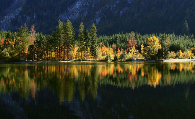 Herbstflammen am See