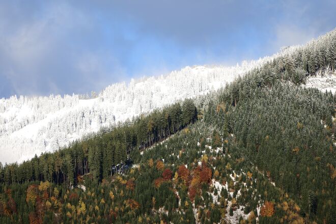Herbst grüßt Winter !