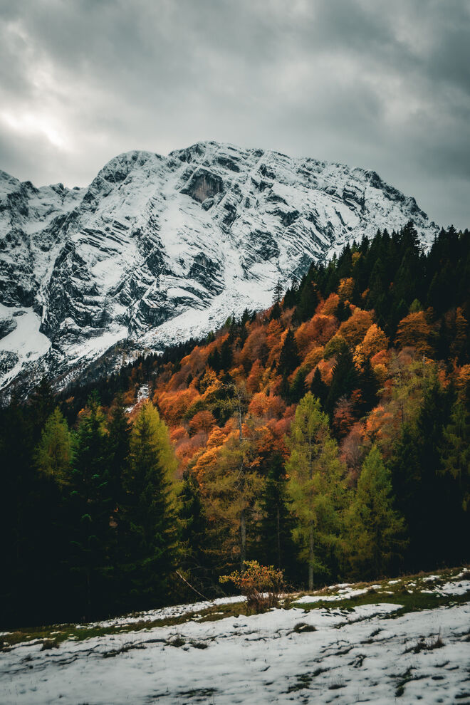 Herbst - Winter
