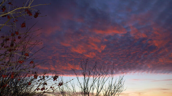 Abendliches Schauspiel